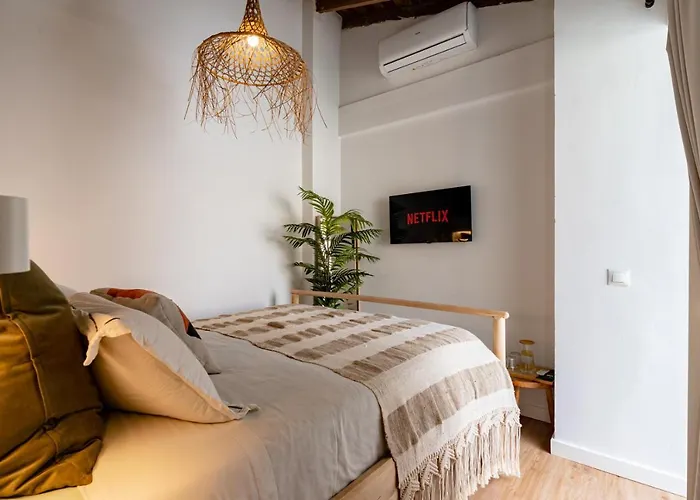 The Urban Jungle Hostel