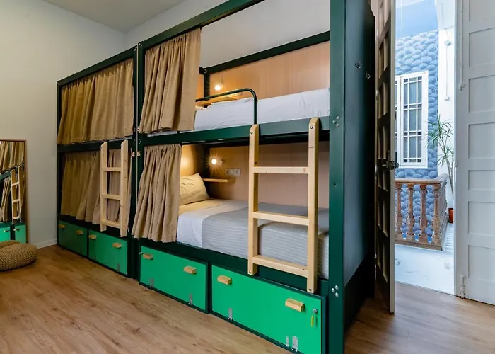 The Urban Jungle Hostel